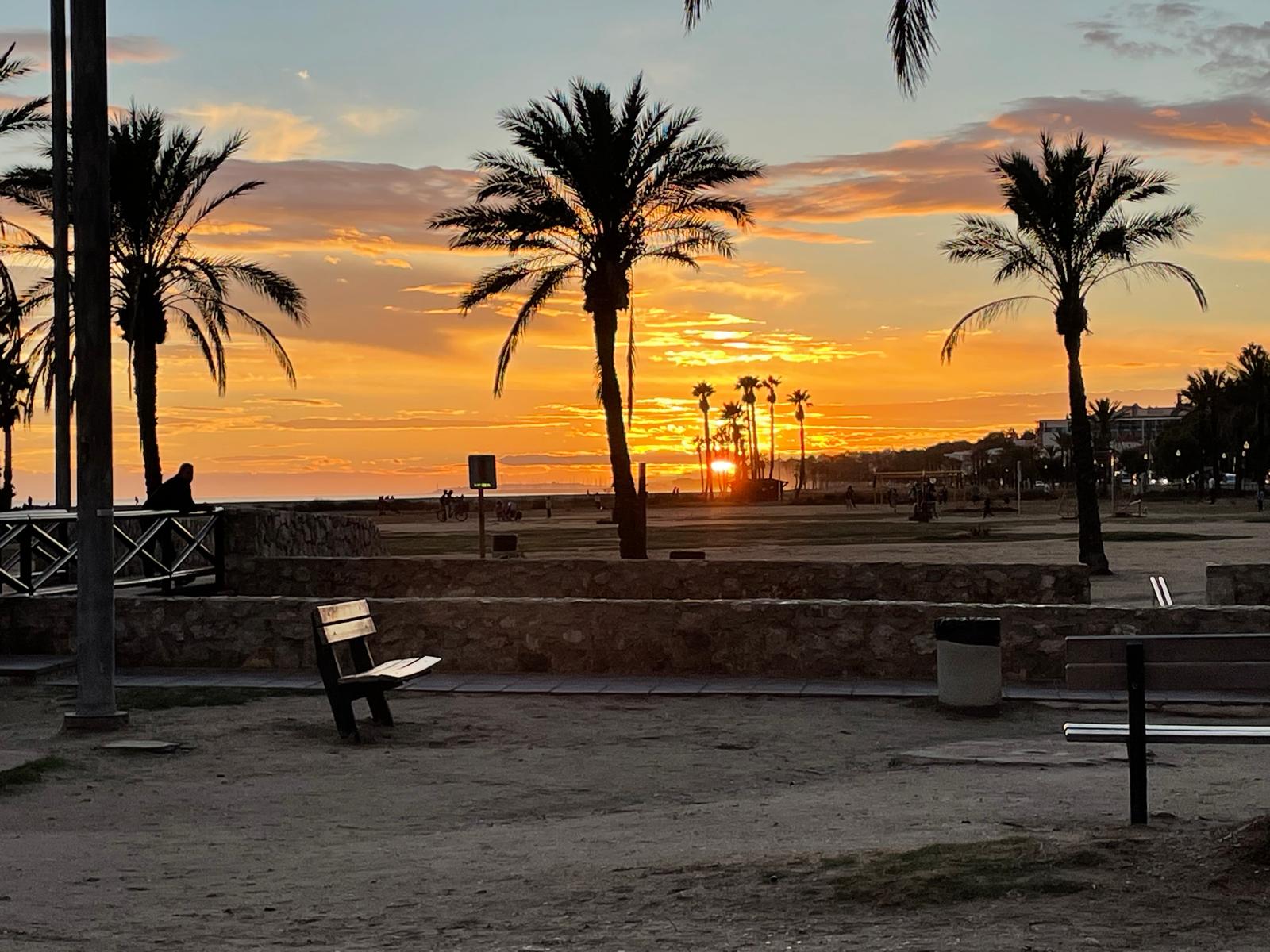 Atardecer en el paseo marítimo de Comarruga con palmeras