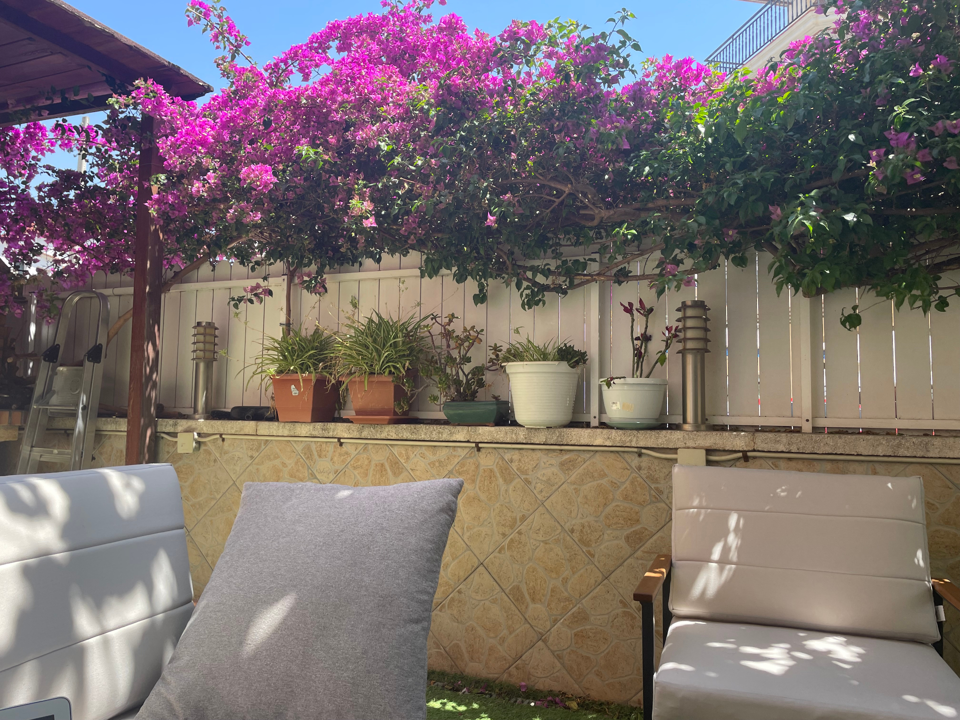 Jardín con zona relax y buganvilla en flor